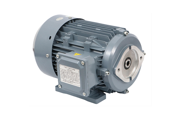 潤滑泵專用電機