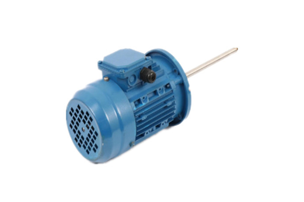 立式長(zhǎng)軸電機(jī)