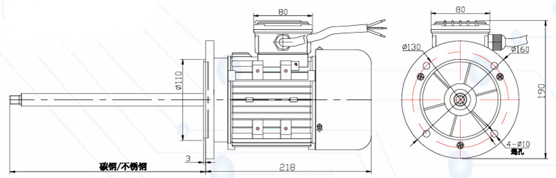 不銹鋼長軸電機外形尺寸圖