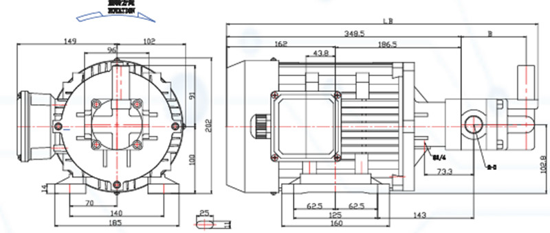潤(rùn)滑泵專用電機(jī)外形尺寸圖